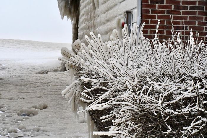 People's Homes Near Lake Erie Get Covered In Thick Ice, They Say It Looks Cool But It's A Nightmare To Live In People's Homes Near Lake Erie Get Covered In Thick Ice, They Say It Looks Cool But It's A Nightmare To Live In