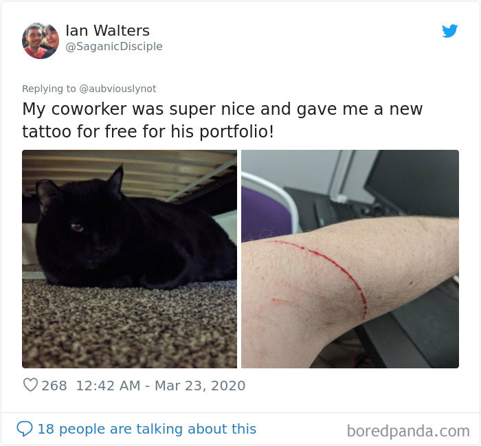 Working-From-Home-Quarantine-Pet-Co-Worker-Photos