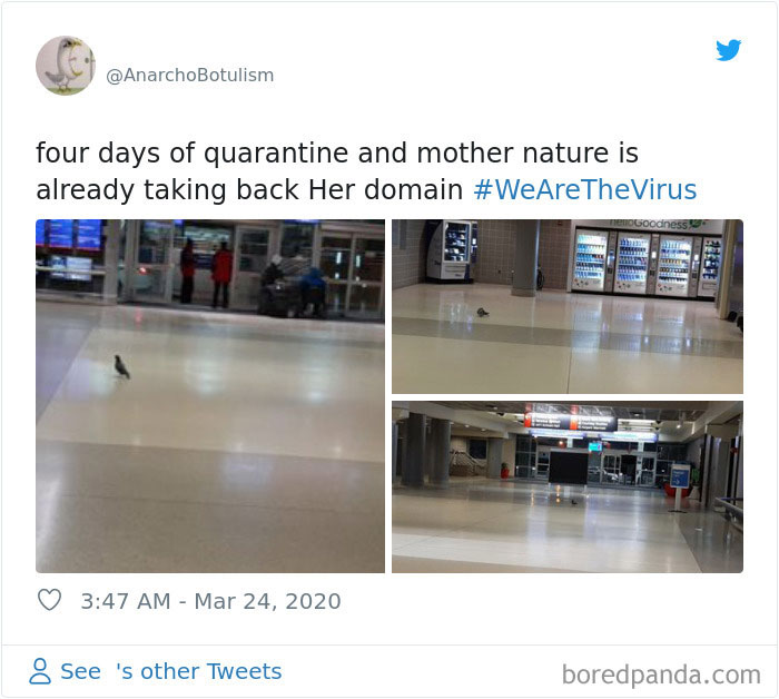 Nature-Healing-Quarantine-Jokes