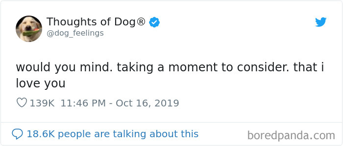 Dog Thoughts