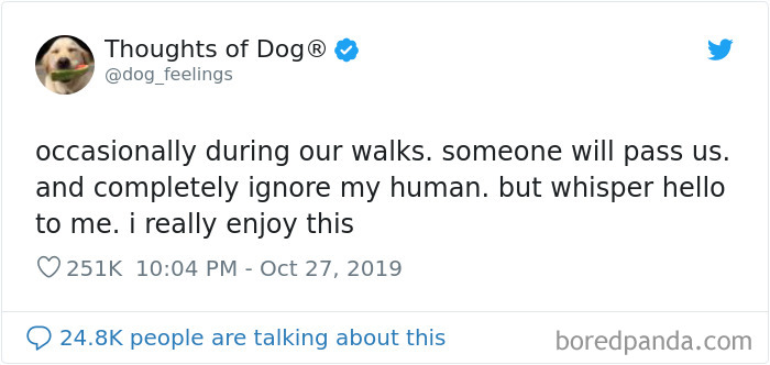 Dog Thoughts