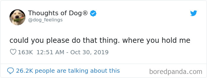Dog Thoughts