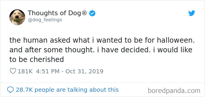 Dog Thoughts