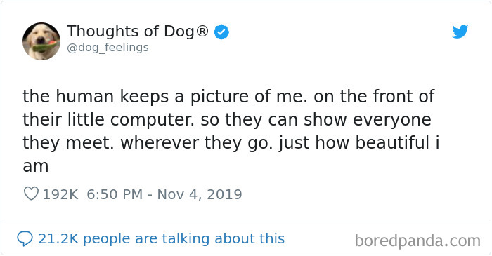 Dog Thoughts