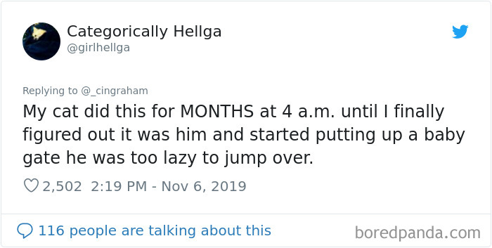 World-Worst-Cats-Christopher-Ingraham