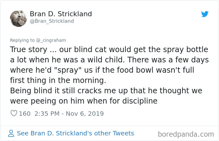 World-Worst-Cats-Christopher-Ingraham