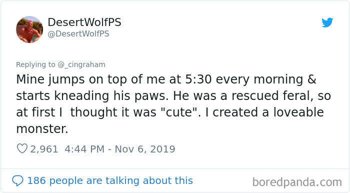 World-Worst-Cats-Christopher-Ingraham