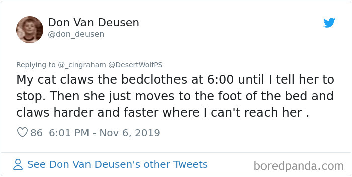 World-Worst-Cats-Christopher-Ingraham