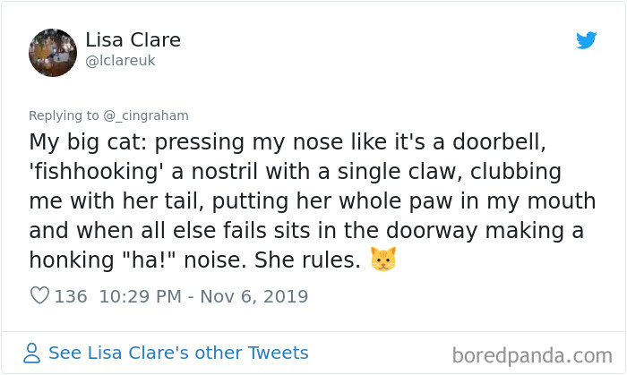 World-Worst-Cats-Christopher-Ingraham