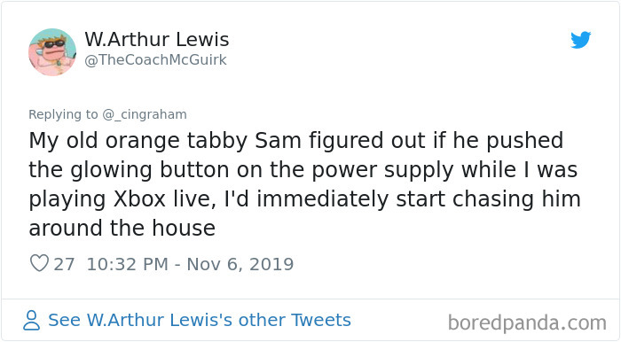 World-Worst-Cats-Christopher-Ingraham