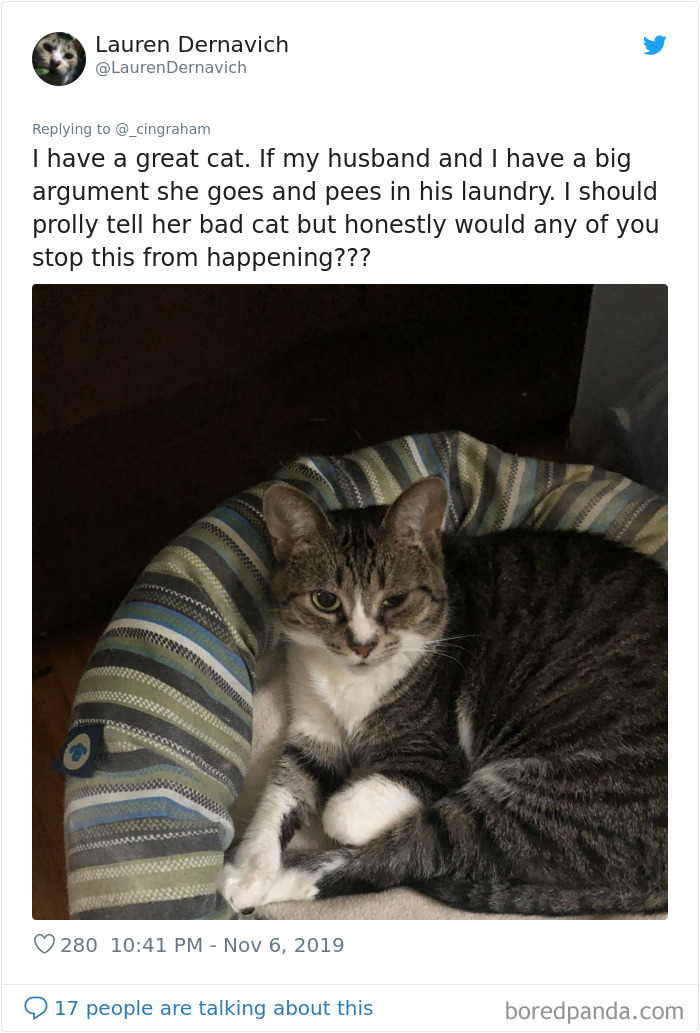 World-Worst-Cats-Christopher-Ingraham