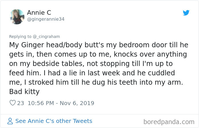 World-Worst-Cats-Christopher-Ingraham