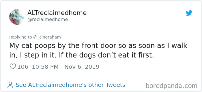 World-Worst-Cats-Christopher-Ingraham