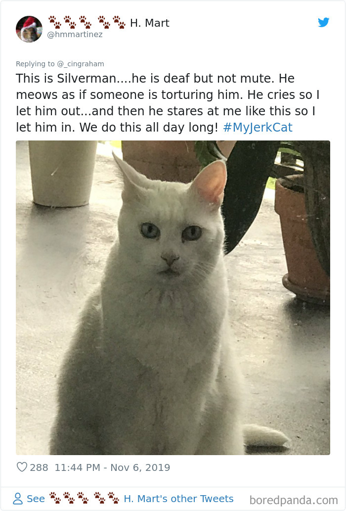 World-Worst-Cats-Christopher-Ingraham