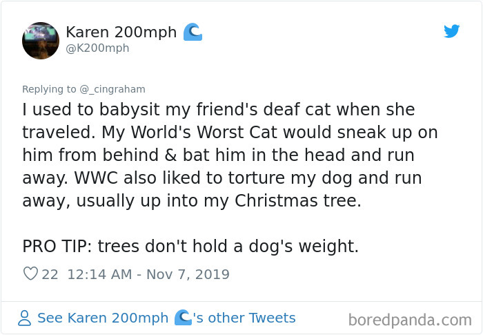 World-Worst-Cats-Christopher-Ingraham