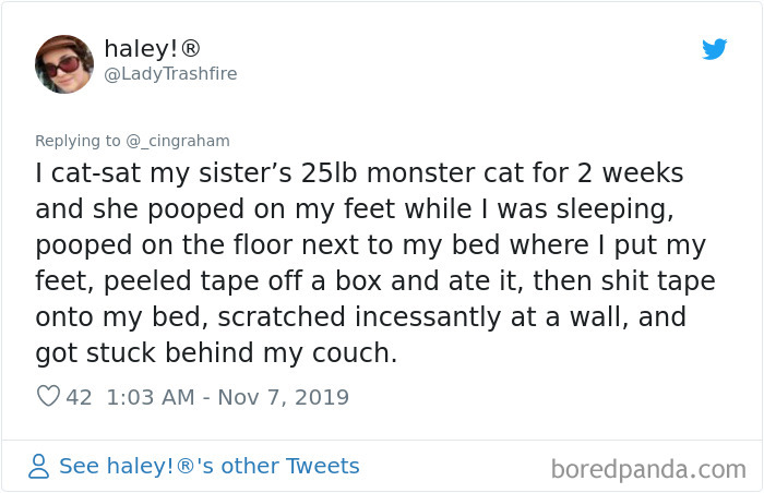 World-Worst-Cats-Christopher-Ingraham