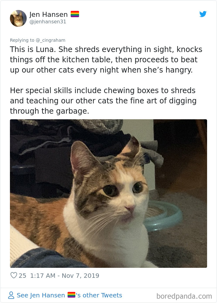 World-Worst-Cats-Christopher-Ingraham