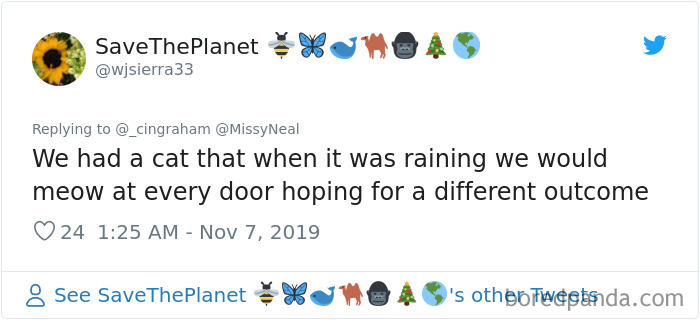 World-Worst-Cats-Christopher-Ingraham