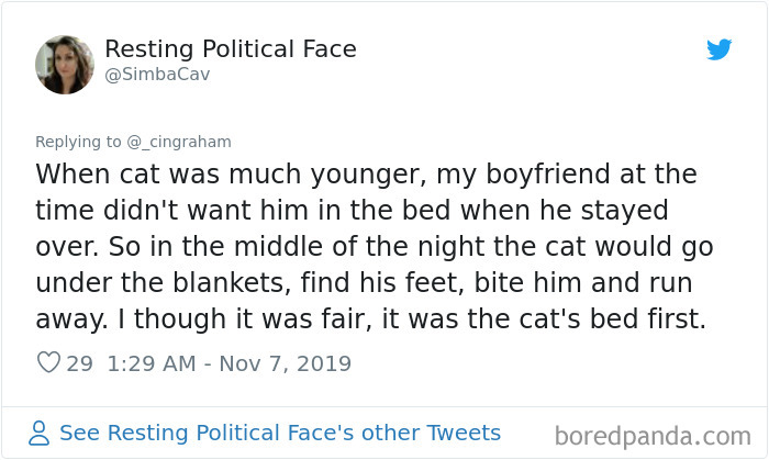 World-Worst-Cats-Christopher-Ingraham