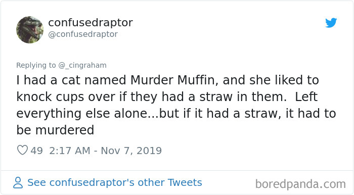 World-Worst-Cats-Christopher-Ingraham