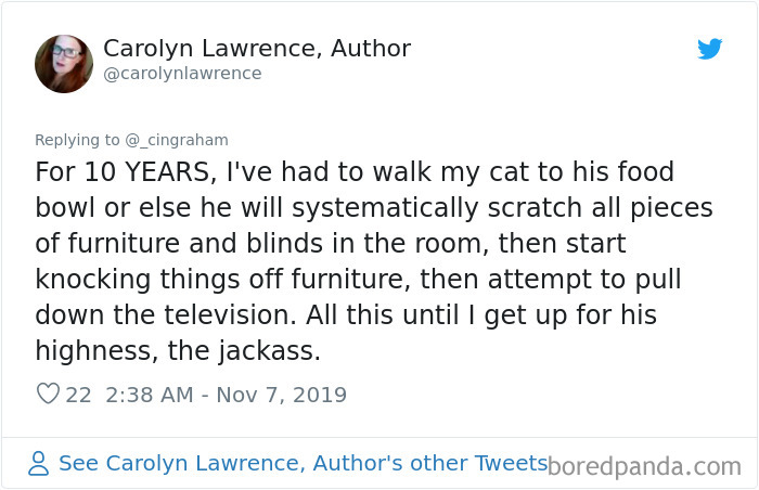 World-Worst-Cats-Christopher-Ingraham