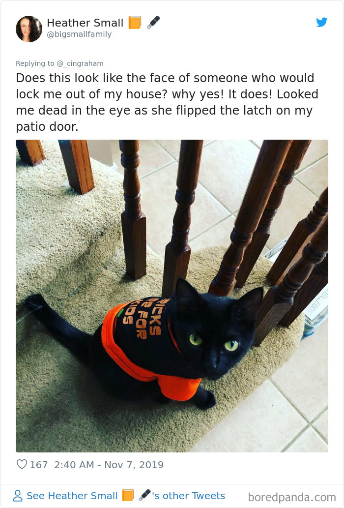 World-Worst-Cats-Christopher-Ingraham