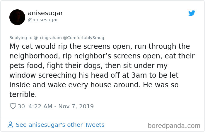 World-Worst-Cats-Christopher-Ingraham