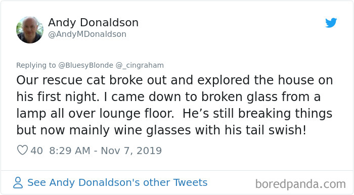 World-Worst-Cats-Christopher-Ingraham