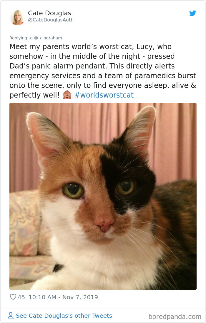 World-Worst-Cats-Christopher-Ingraham