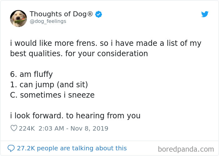 Dog Thoughts