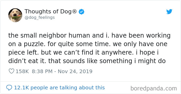 Dog Thoughts