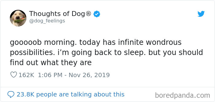 Dog Thoughts