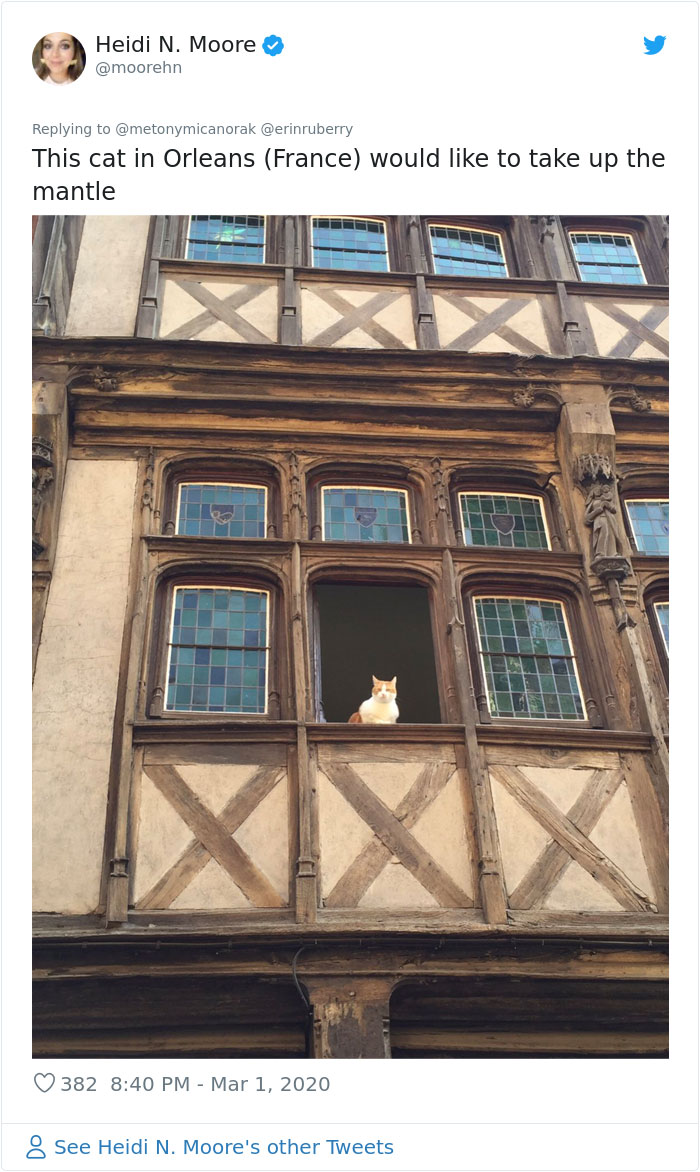 After 'The Most Photographed Dog In Bruges' Passes Away, People Are Sharing Photos Of Him Throughout The Years