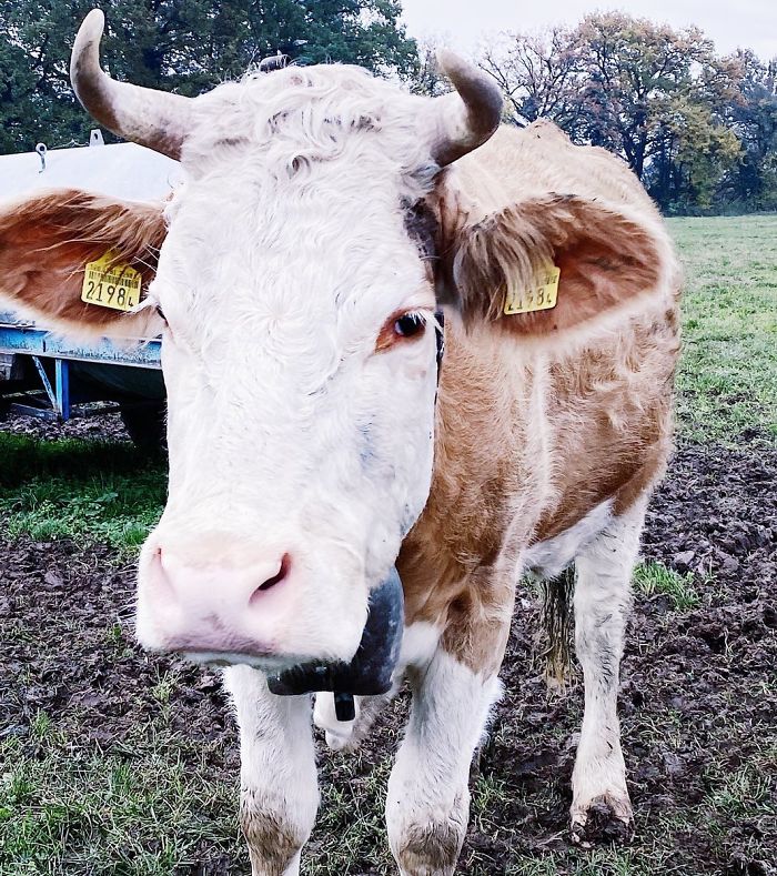 29th November 2019 Sunflower