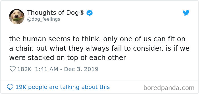 Dog Thoughts