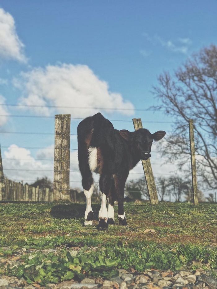 3rd December 2019 Kazza