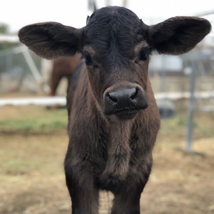5th December 2019 Colby