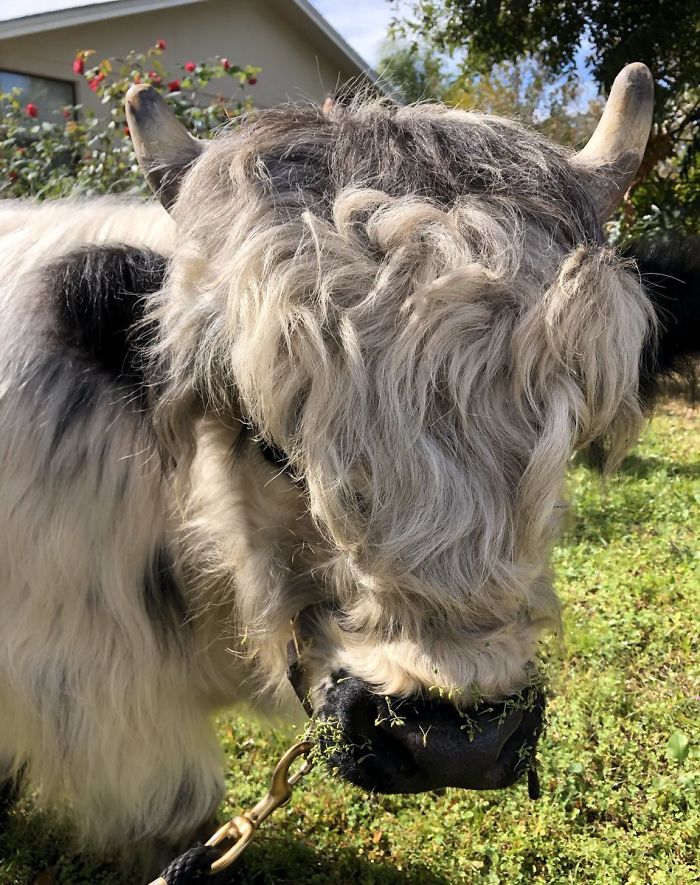 6th December 2019 Meadows