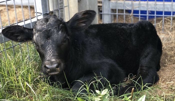 10th December 2019 Bentley