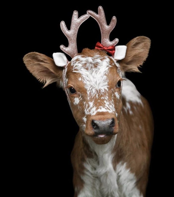 11th December 2019