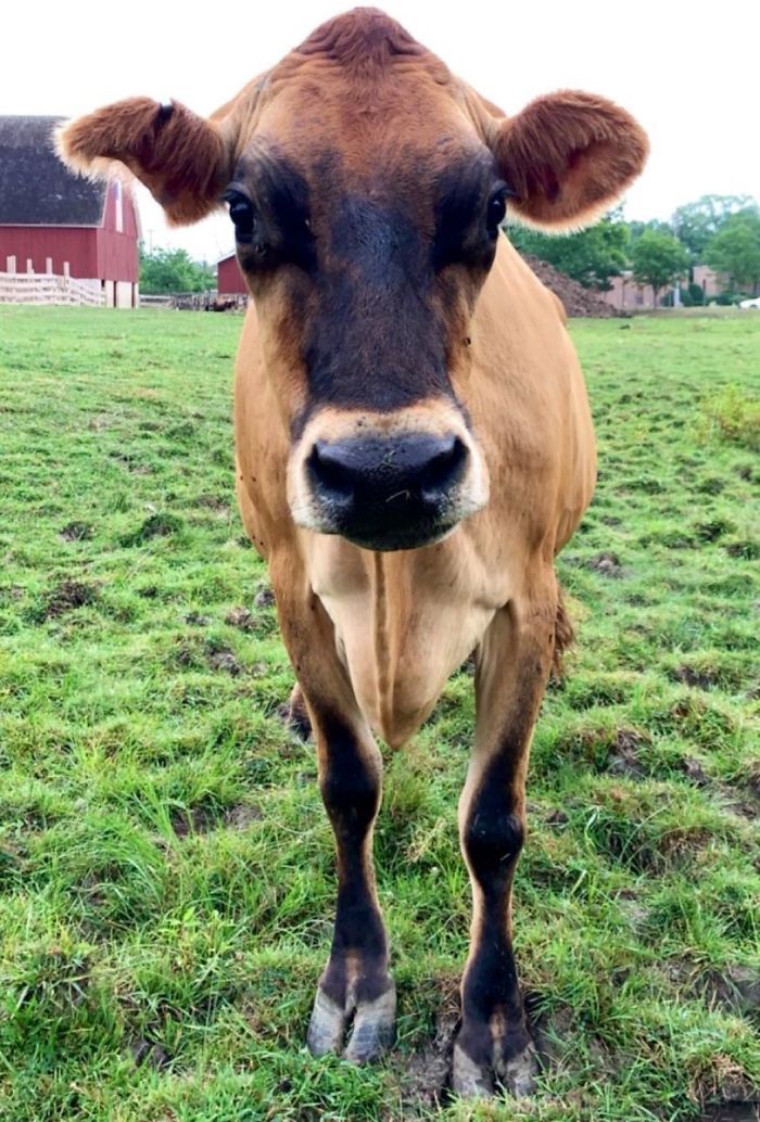 18th December 2019 In Memory Of Buttercup