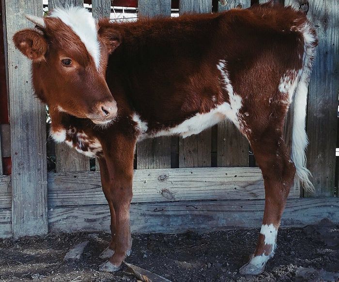 22nd December 2019 Darla