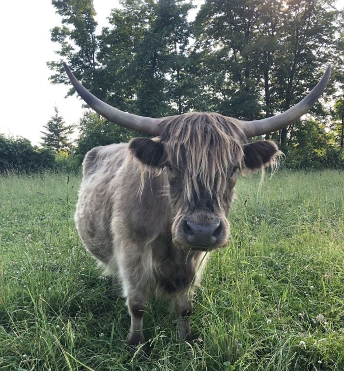 23rd December 2019 Shyloah