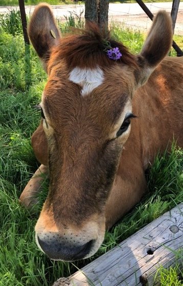 31st December 2019 Tressie