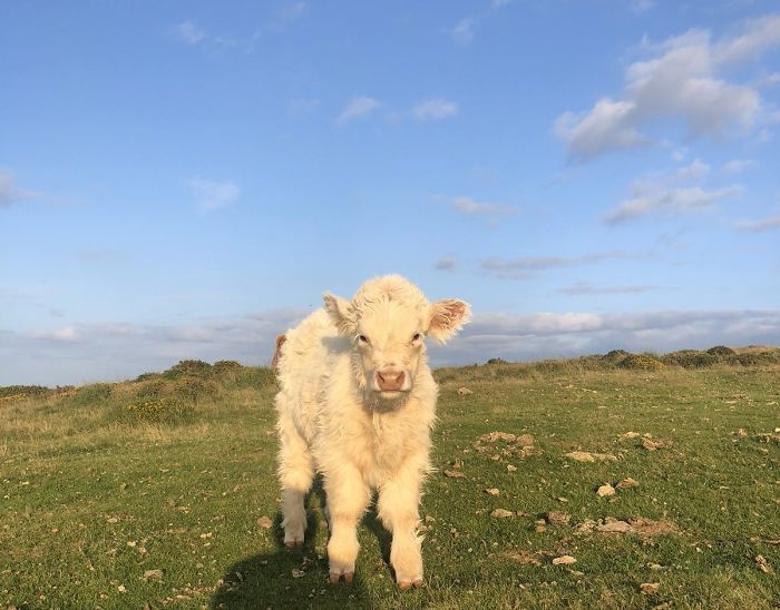 5th January 2020 Hugo