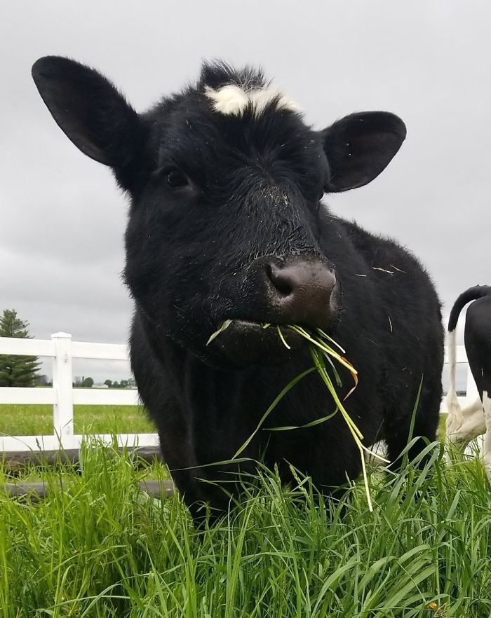 6th January 2020 Debbie (Momma To Be In April)