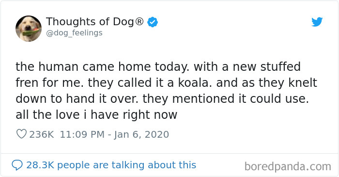 Dog Thoughts