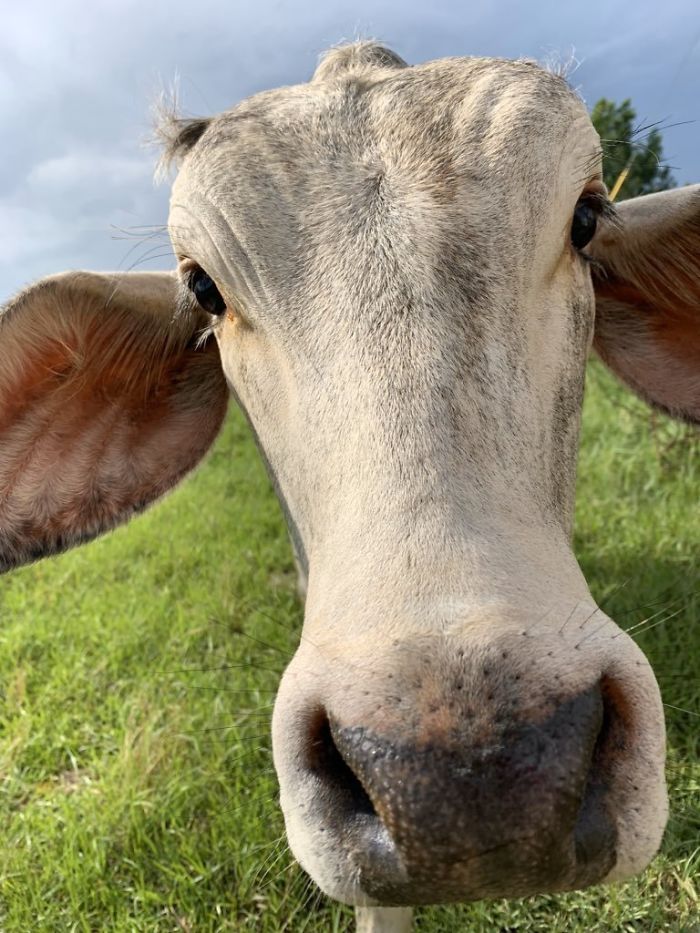 7th January 2020 Waylon