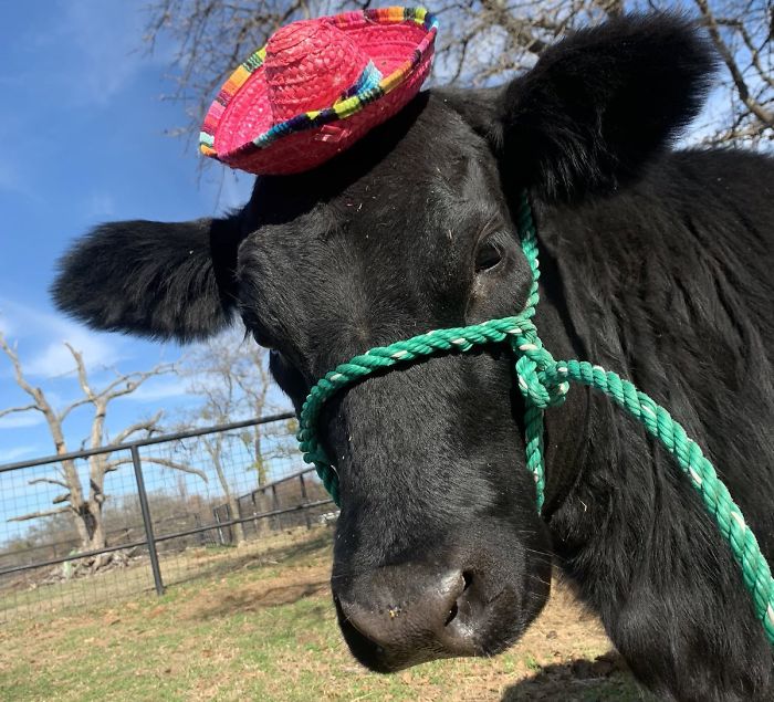 9th January 2020 Baby