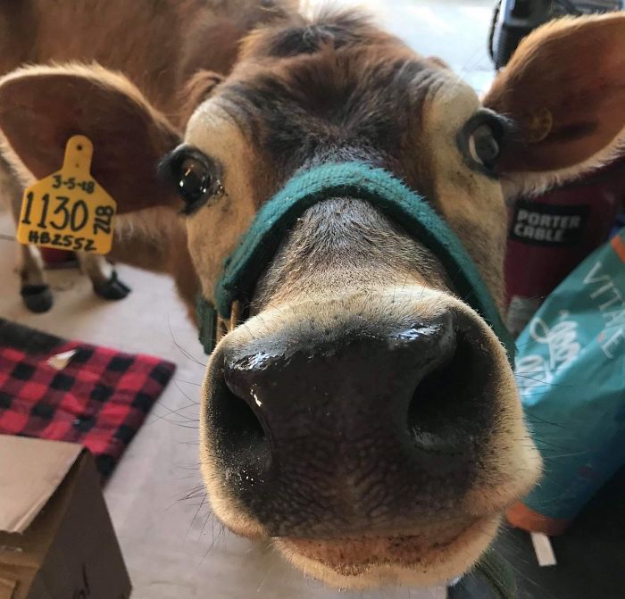 14th January 2020 Honey